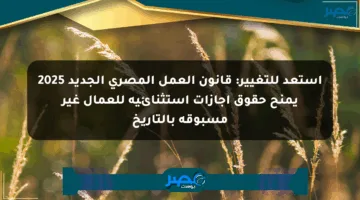 استعد للتغيير: قانون العمل المصري الجديد 2025 يمنح حقوق إجازات استثنائية للعمال غير مسبوقة بالتاريخ